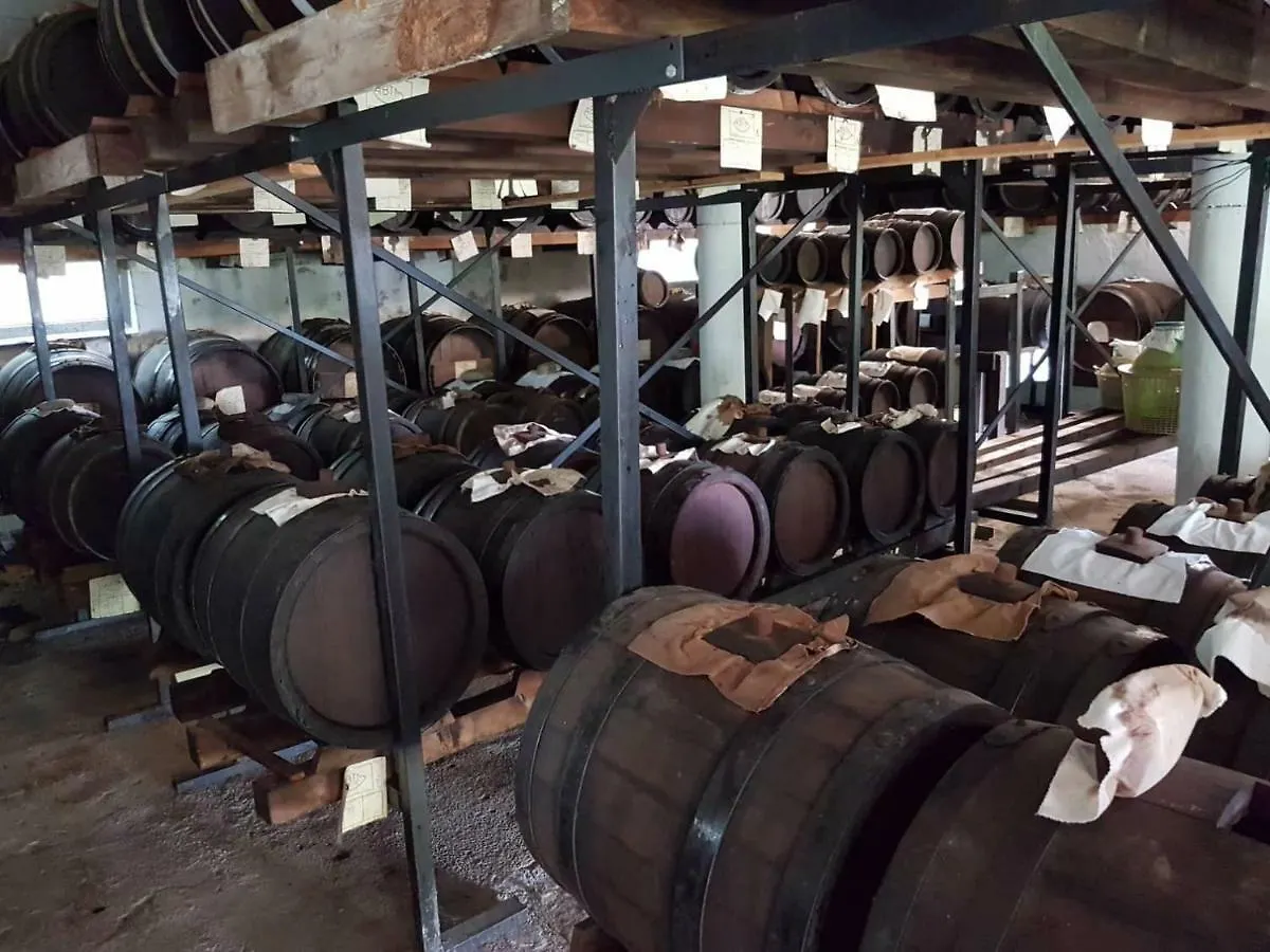 B&B Villa Paolida, Aceto Balsamico & Acetaia Antica Nonantola