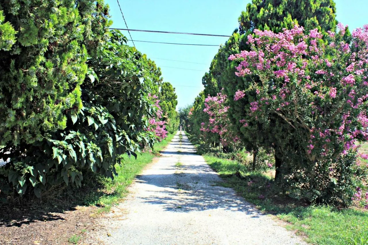 B&B Villa Paolida, Aceto Balsamico & Acetaia Antica Nonantola Guest house